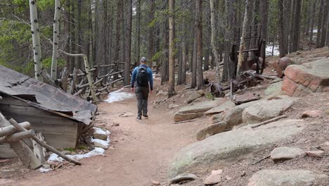 a man walks by a remote abandoned cabin along a trail in pine forest. filmed in staunton state park during the spring.