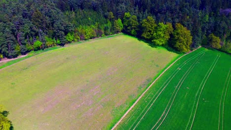 Contraste-De-Exuberantes-Campos-Verdes-Y-Densos-Bosques-Desde-Arriba