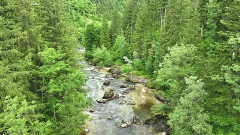 quiet river stream with rocks flows around green forestry landscape logar valley natural park, slovenia, top aerial drone shot