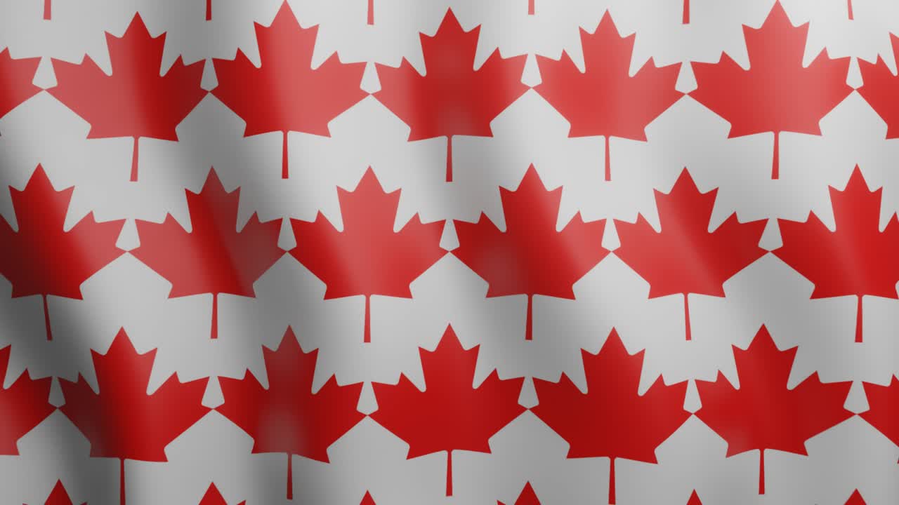 hojas de arce rojo canadiense con patrón de bucle sin costuras. fondo gráfico de movimiento geométrico ondulante