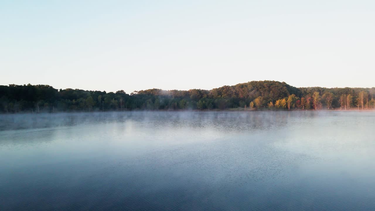 호수 위의 인근 일출에서 색이 튀는 나무