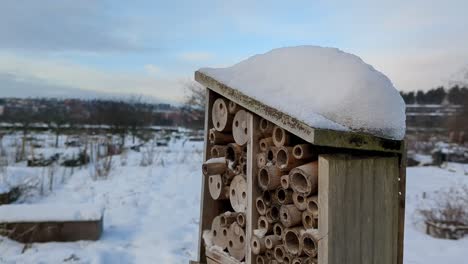 bug hotel in snowy winter day, insects hibernating, winter gardening