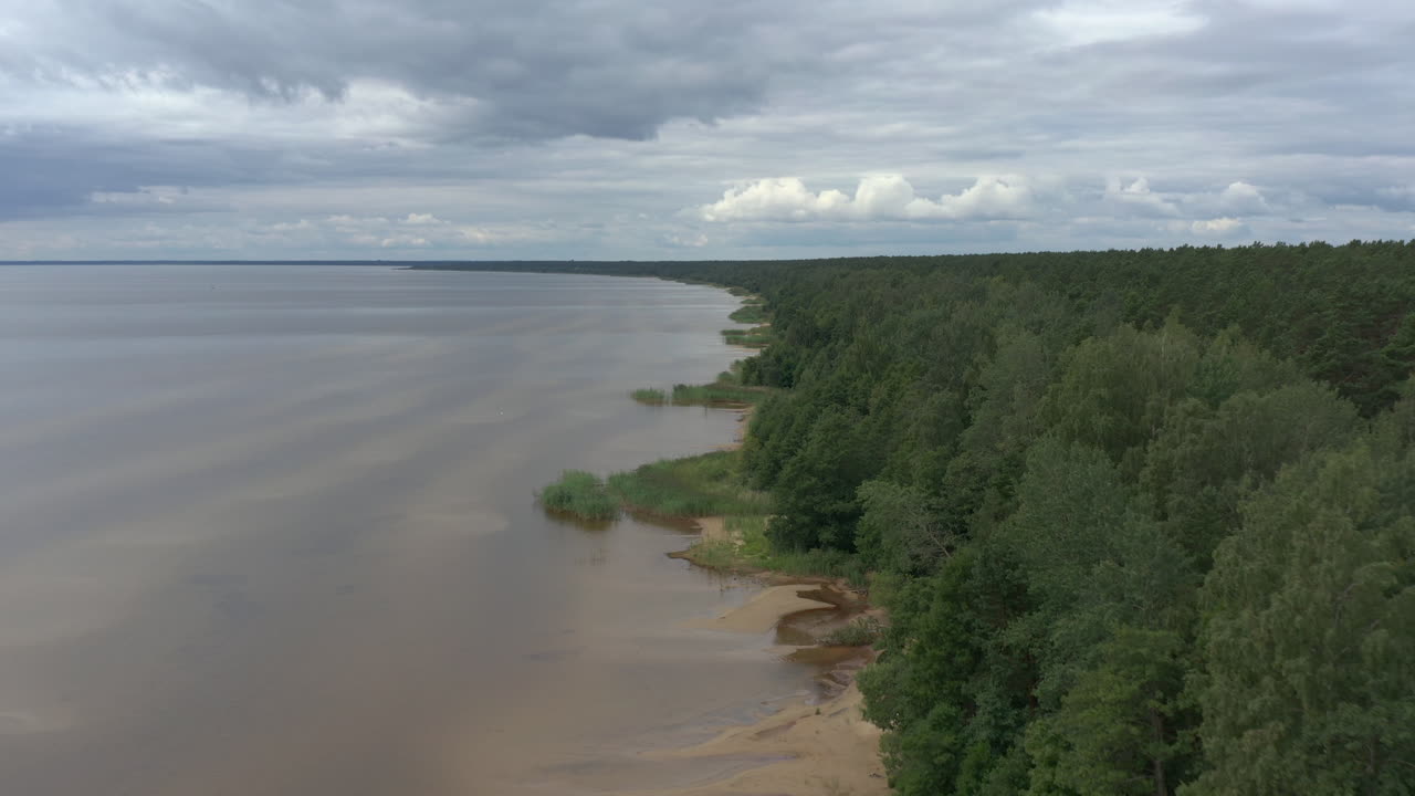 Luftfoto over en søbred omgivet af en grøn træskov på en overskyet dag, bredt oversigtsbillede, rejsekoncept, Peipus, Estland.