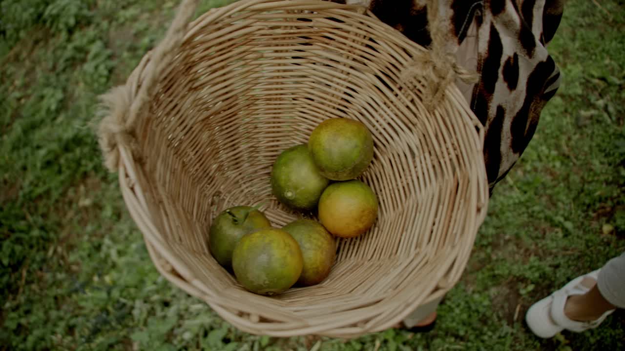 Woman carrying a wicker basket of oranges