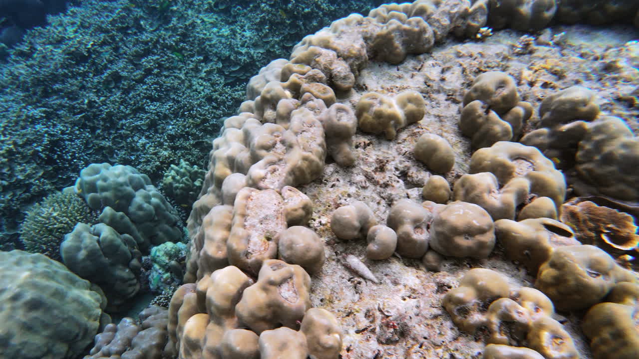 Immergiti nelle acque cristalline e scopri la vivace fauna marina e le straordinarie formazioni coralline.