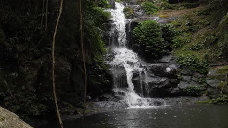 Agua-Brotando-Y-Salpicando-En-El-Río-Desde-La-Cascada---Selva-Tropical-Del-Parque-Nacional-Lamnington-En-Gold-Coast,-Australia