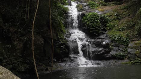 water gushing and splashing on river from waterfall - lamnington national park rainforest in gold coast, australia