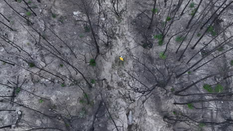 man-walking-through-El-Pont-de-Vilomara-after-wildfires-were-extinguished