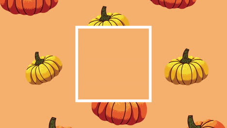 pumpkins pattern autumn season animation