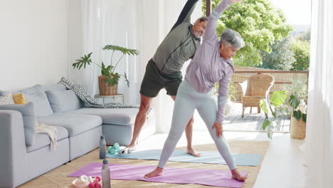 fitness, ejercicio y pareja de ancianos en casa haciendo