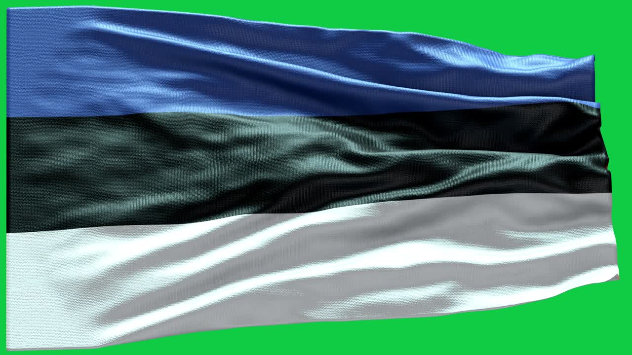 4K Meget detaljeret flag fra Estland - Estlands flag i høj detalje - Nationalflag Estland bølge mønster loopbare elementer