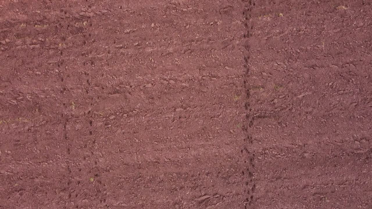 rastros de huellas de corzo de alce en la vista aérea del suelo del campo arado