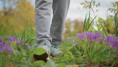 close up of person walking gently through grass and flowers on autumn path wearing grey joggers and pastel sneakers, showing serene stride and detail of ground texture amid blurred vibrant foliage