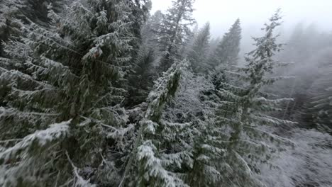 FPV-flying-Low-Over-Virgin-Forest-In-Bucegi-Mountains-In-Winter-Season,-Romania