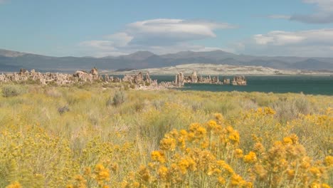 pinceladas en el primer plano de esta foto del lago mono de california