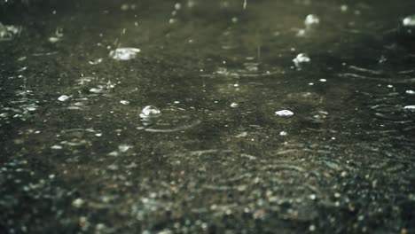 raindrops splashing on the ground, beautiful rain background, rain puddle. splash of water.