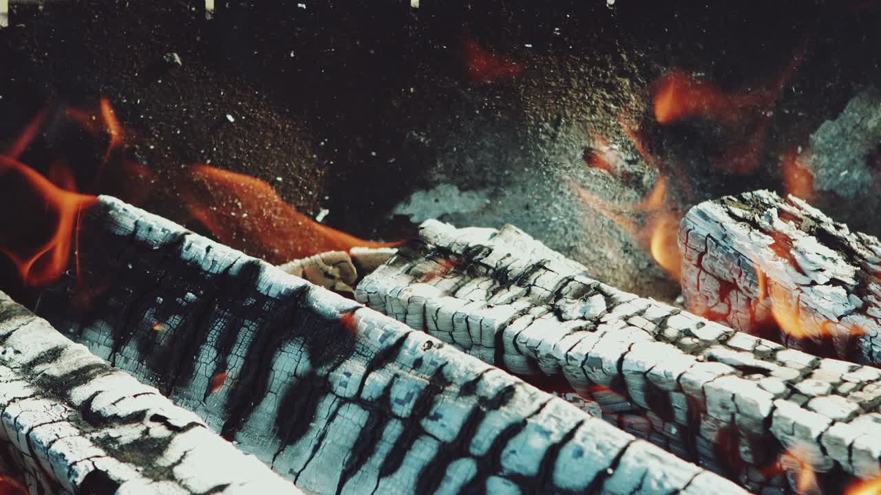 불에 불타는 나무