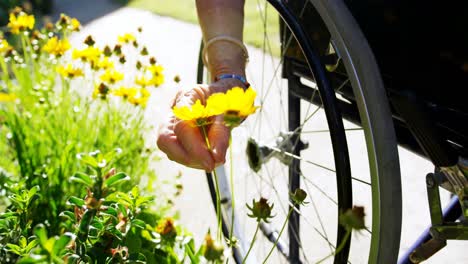 Nahaufnahme-Einer-Behinderten-älteren-Frau,-Die-Eine-Blume-Im-Garten-Eines-Pflegeheims-Hält,-4k