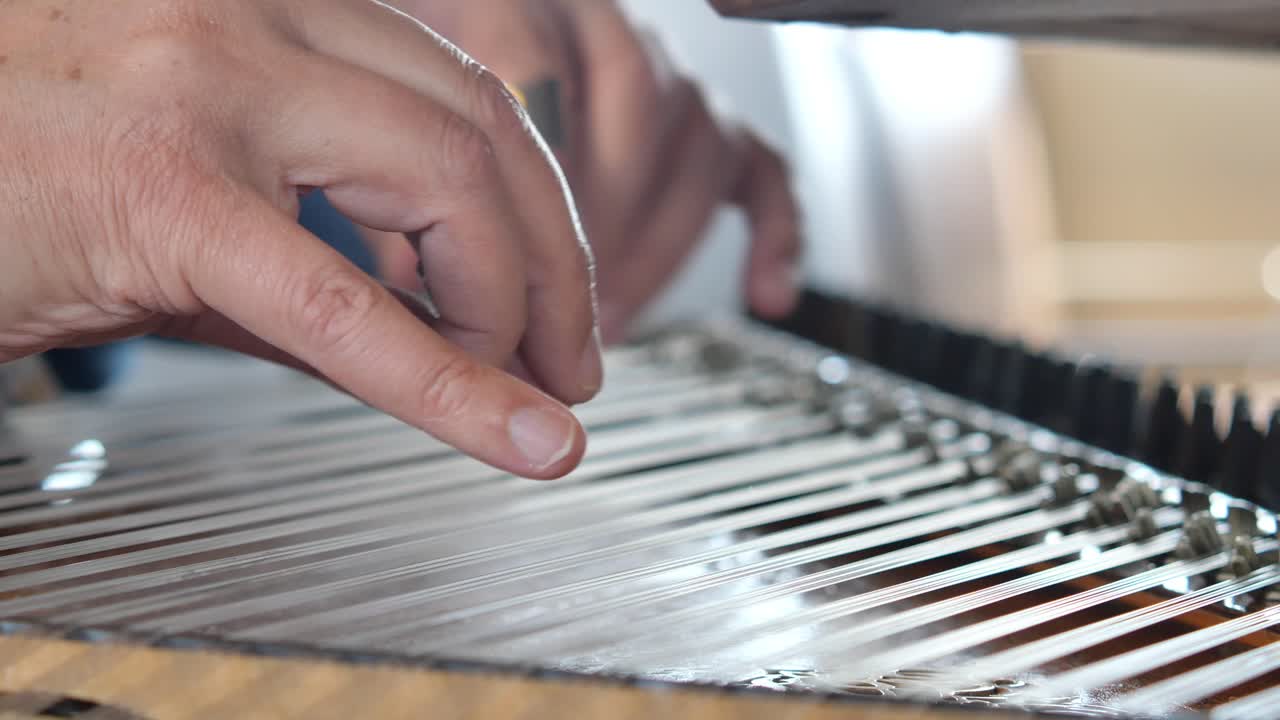 Person playing a stringed musical instrument