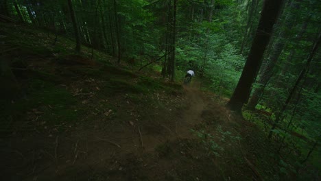 一名山地自行车手在茂密的森林里骑着一条尘土飞扬的步道