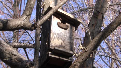 A-bird-house-is-seen-in-Musashiseki-Park,-Tokyo,-Japan