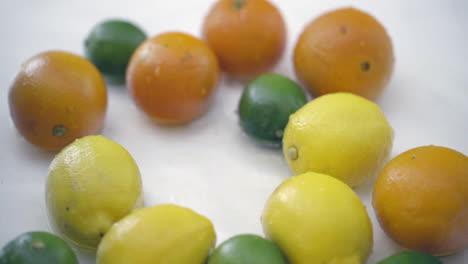 slomo of citrus in water on white backdrop