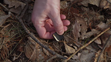 Lost SD card with data found in forest, hands close up, lucky autumn day or crime evidence