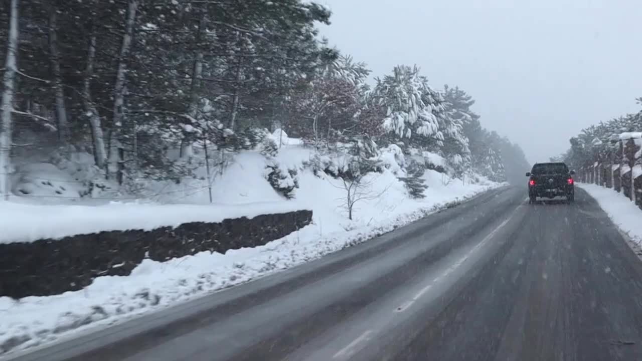 Car Driving  In Road At The Center Of Snow-Covered Forest In Istanbul Turkey - medium shot
