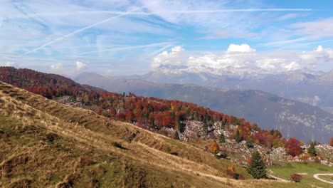 飛行在牧場上空,俯<unk>朱利安阿爾卑斯山