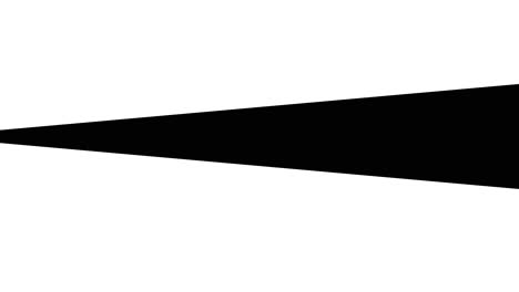 Black and White Arrow