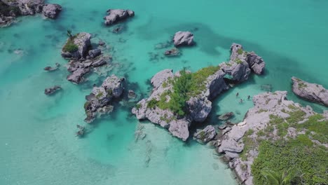 bermuda descending drone shot of three simmers floating in clear shallow water near morgan's island