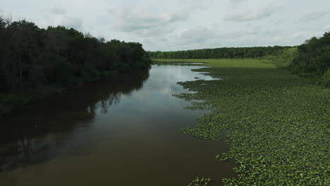Pristine-Nature-Wetland