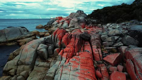 bay of fires drone flys low through orange boulders tasmania