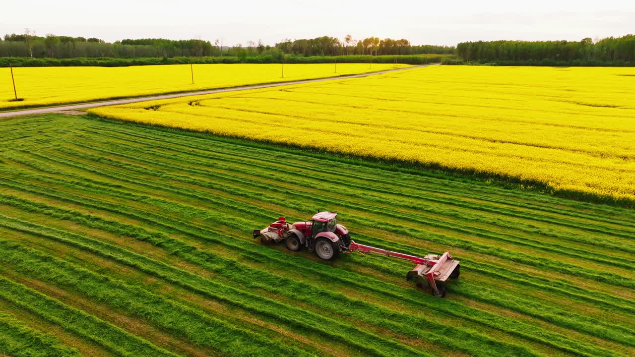 Local farmer harvests animal fodder at dusk in Latvia, drone glides sideways