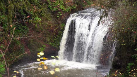 wide waterfall seen from a suspension bridge in hidden falls nature park