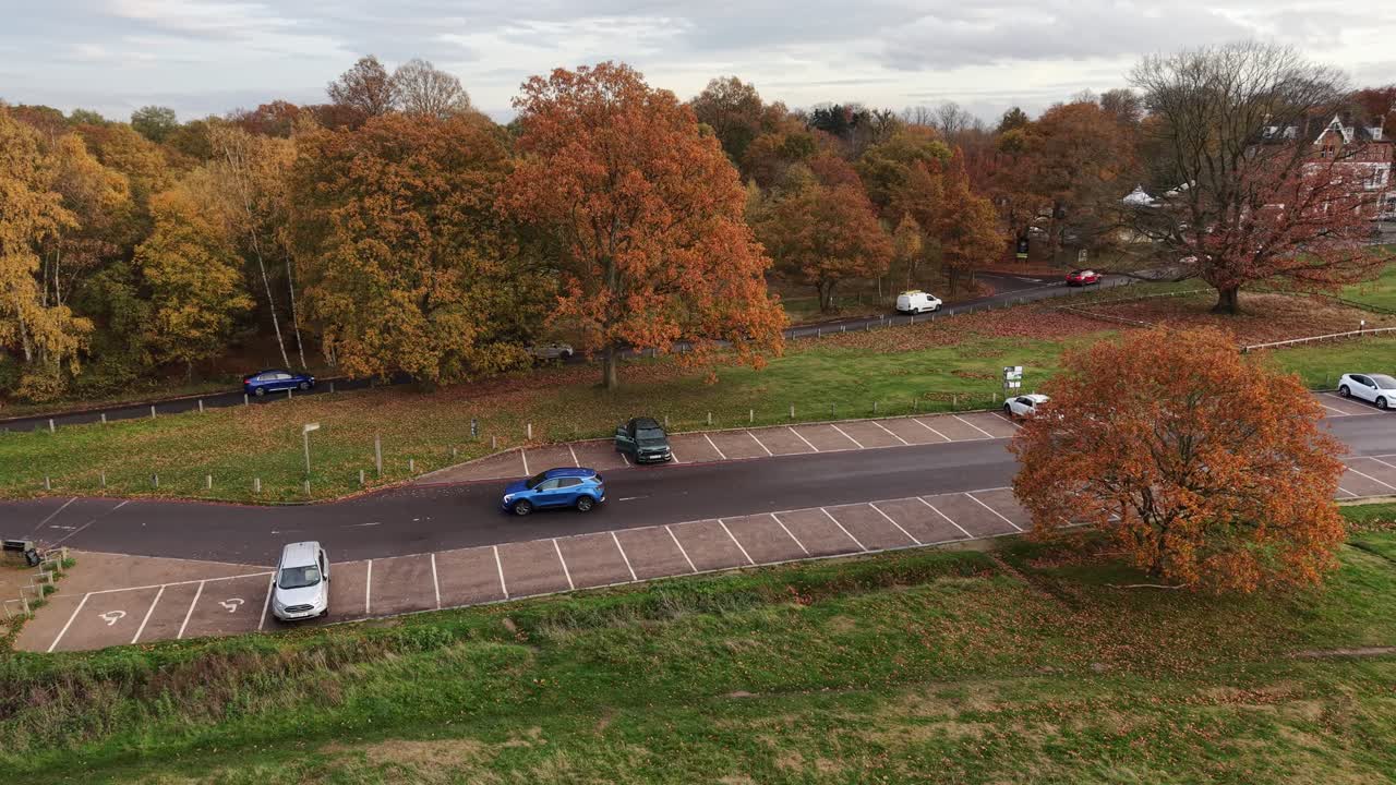 High Beach Epping forest car park autunm drone shot through tree foilage