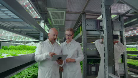 un grupo de ingenieros con abrigos blancos camina en la moderna granja vertical del futuro con portátiles y tabletas en sus manos estudiando y discutiendo los resultados del crecimiento de las plantas verdes.