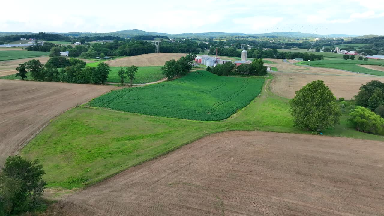 un paisaje americano sereno, campos verdes, silos de pie alto