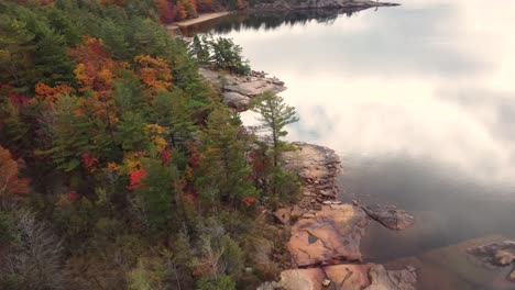 aerial circle view over a magnificent wood in autumn colors in front of lake