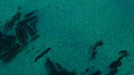 vista aérea de un arrecife artificial creado para proteger la costa de una ciudad