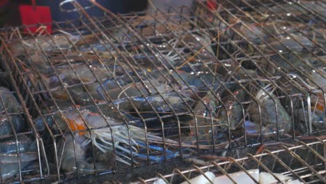 blue live raw fresh river prawn in metal cage on hot charcoal cooking in thailand