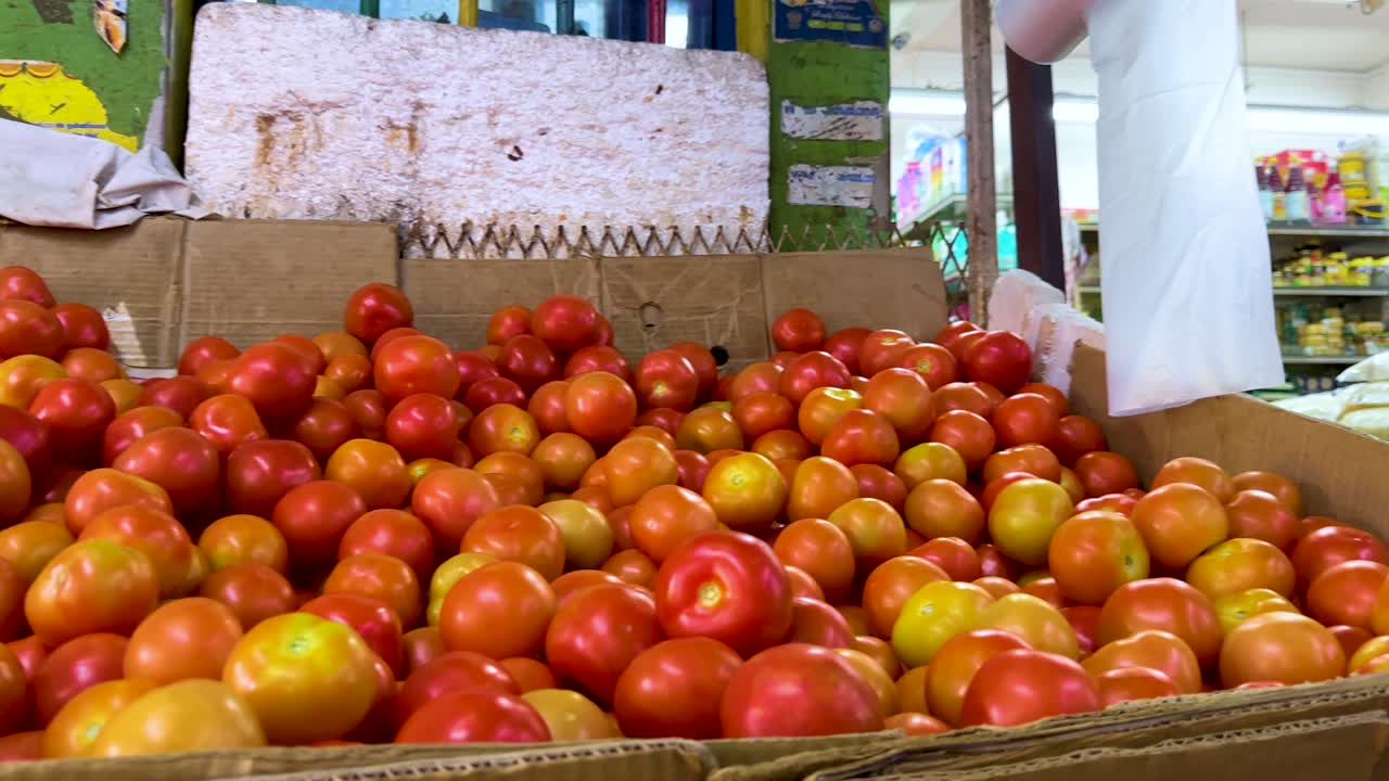 Female vendor sorts fresh tomatoes in bright indoor market, camera moves to close-up produce view