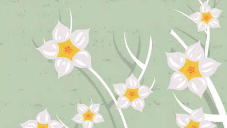 white and yellow spring flowers on a green background