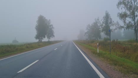the view from the car window, the car rushing through the countryside