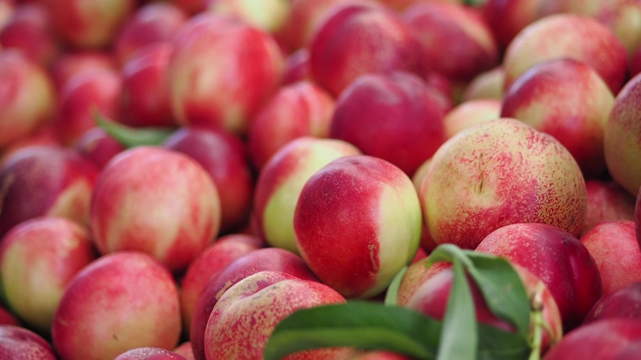 Nettarine fresche e mature esposte su una bancarella del mercato