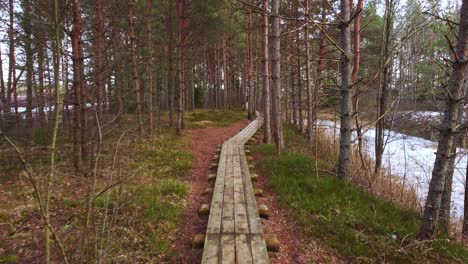 Narrow-wooden-walkway-in-pine-tree-forest,-motion-forward-on-snowy-day