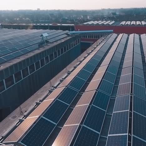 rows of innovative solar panels on the roofs. photovoltaic sunny batteries on the buildings at sunset. sustainable energy in the solar farm. drone view.