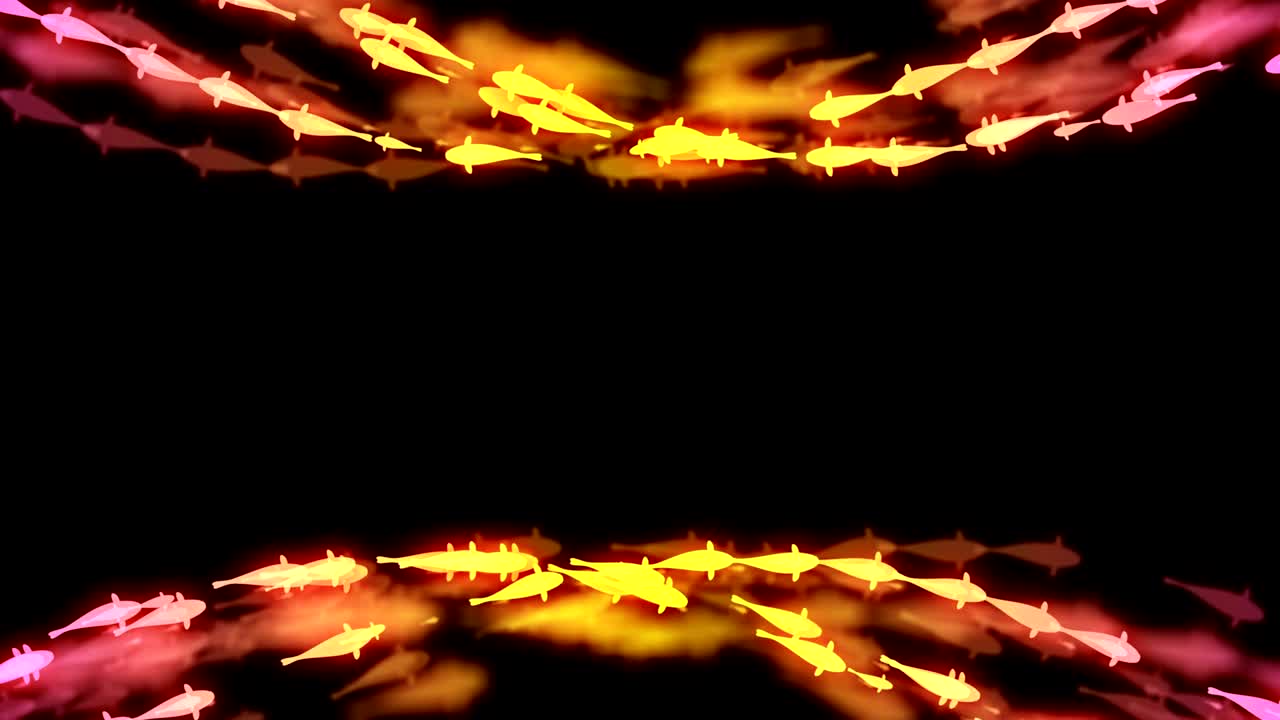 추상적인 보케 빛은 반이는 멋진 카르프 또는 코이 물고기 수영 패턴 노란색과 분홍색 그라디언트 색상 그림은 어두운 배경에, 원활한 루핑 애니메이션 4k 중앙 복사 공간