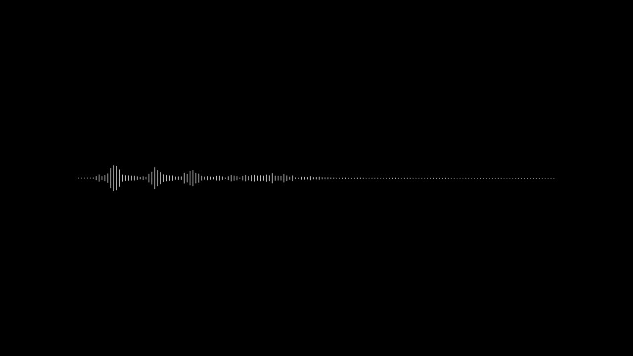 Minimalist  waveform audio voice