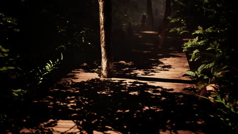 dark and mysterious forest path at night